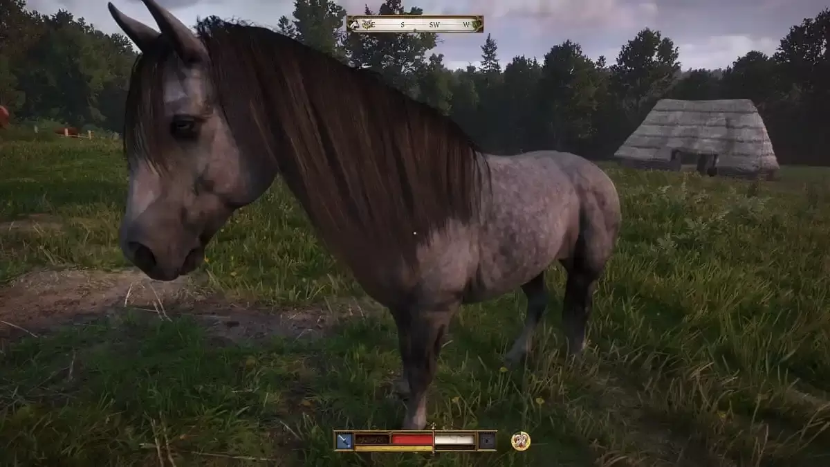 Kingdom Come Deliverance 2 সেমিন Pebbles