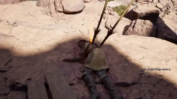 Captura de tela declarada 4