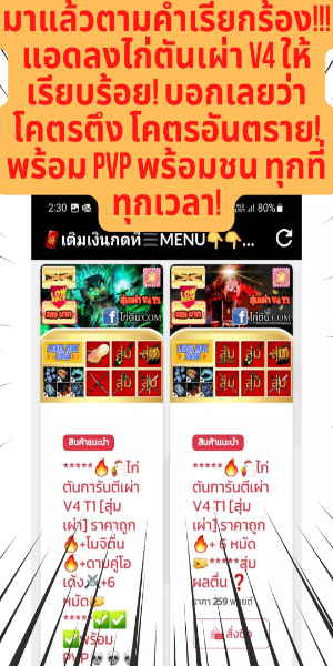 ไก่ตั้น Robox โรบอก โรบอท โลบอก