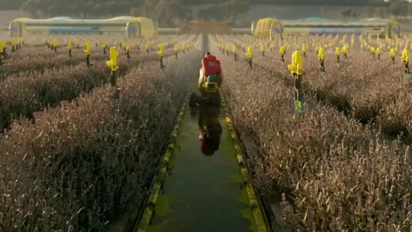 Developer Discusses Marathon Pricing Strategy