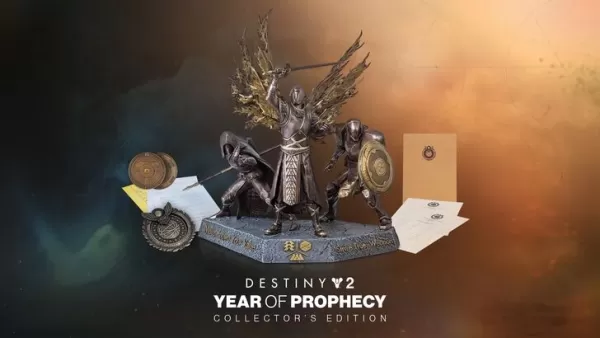 Destiny 2 Collector