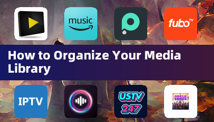 How to Organize Your Media Library