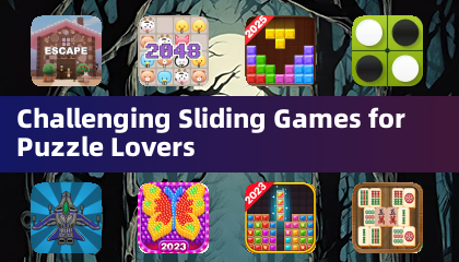 パズル愛好家のためのチャレンジングなスライディングゲーム